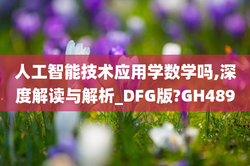 人工智能技术应用学数学吗,深度解读与解析_DFG版?GH489