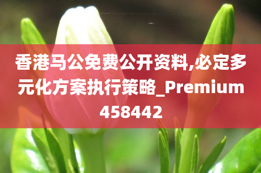 香港马公免费公开资料,必定多元化方案执行策略_Premium458442