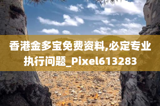 香港金多宝免费资料,必定专业执行问题_Pixel613283