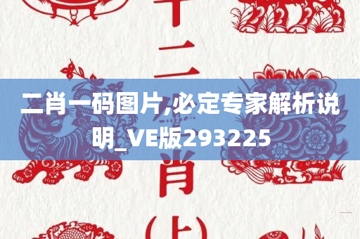 二肖一码图片,必定专家解析说明_VE版293225