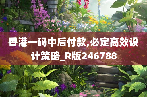 香港一码中后付款,必定高效设计策略_R版246788