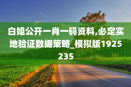 白姐公开一肖一码资料,必定实地验证数据策略_模拟版1925235