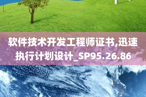 软件技术开发工程师证书,迅速执行计划设计_SP95.26.86