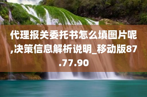 代理报关委托书怎么填图片呢,决策信息解析说明_移动版87.77.90