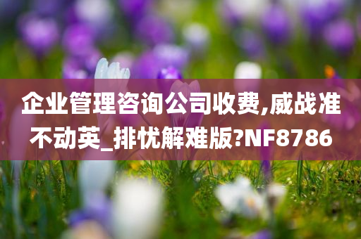 企业管理咨询公司收费,威战准不动英_排忧解难版?NF8786