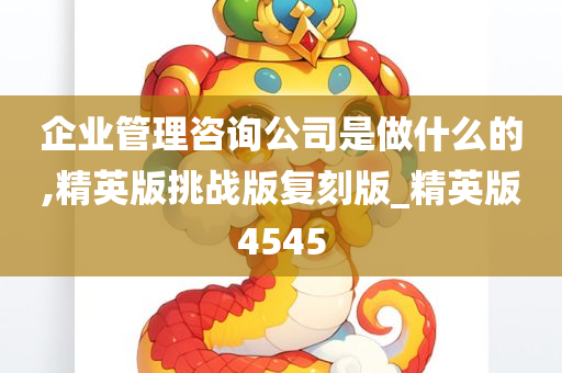 企业管理咨询公司是做什么的,精英版挑战版复刻版_精英版4545