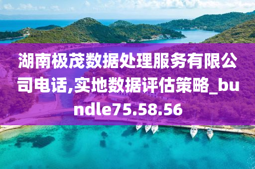 湖南极茂数据处理服务有限公司电话,实地数据评估策略_bundle75.58.56