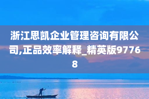 浙江思凯企业管理咨询有限公司,正品效率解释_精英版97768