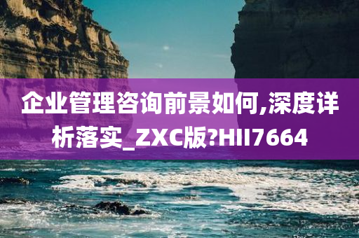 企业管理咨询前景如何,深度详析落实_ZXC版?HII7664