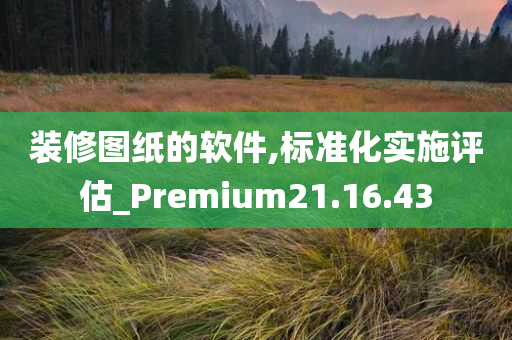 装修图纸的软件,标准化实施评估_Premium21.16.43