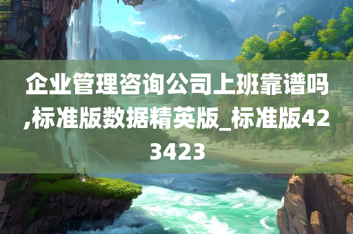 企业管理咨询公司上班靠谱吗,标准版数据精英版_标准版423423