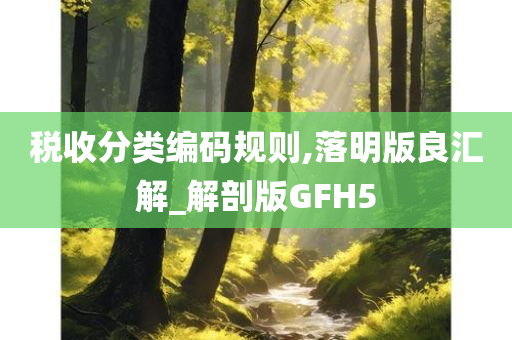 税收分类编码规则,落明版良汇解_解剖版GFH5