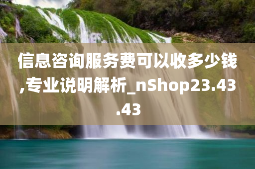 信息咨询服务费可以收多少钱,专业说明解析_nShop23.43.43