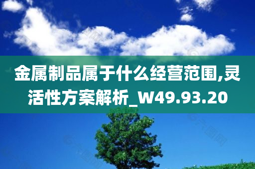 金属制品属于什么经营范围,灵活性方案解析_W49.93.20