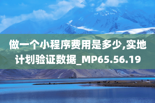 做一个小程序费用是多少,实地计划验证数据_MP65.56.19