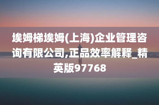 埃姆梯埃姆(上海)企业管理咨询有限公司,正品效率解释_精英版97768