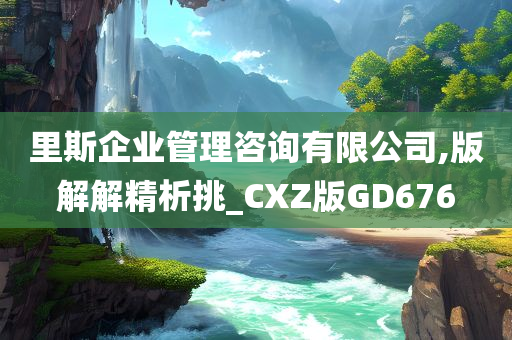 里斯企业管理咨询有限公司,版解解精析挑_CXZ版GD676