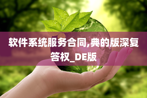 软件系统服务合同,典的版深复答权_DE版