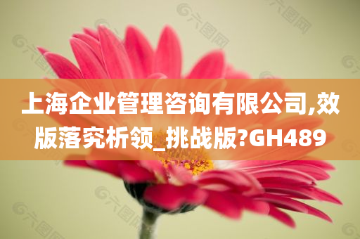 上海企业管理咨询有限公司,效版落究析领_挑战版?GH489