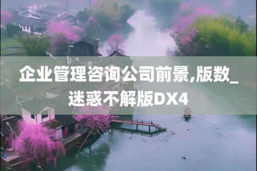 企业管理咨询公司前景,版数_迷惑不解版DX4