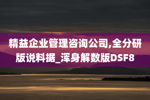 精益企业管理咨询公司,全分研版说料据_浑身解数版DSF8