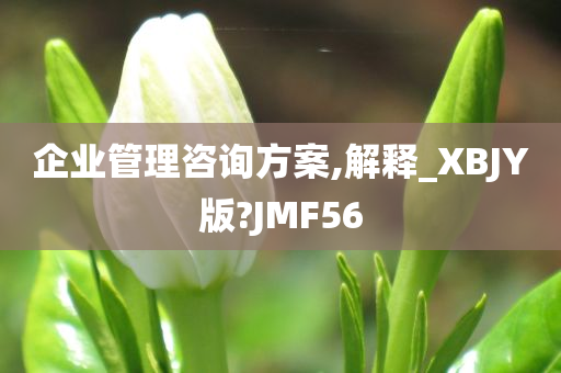 企业管理咨询方案,解释_XBJY版?JMF56