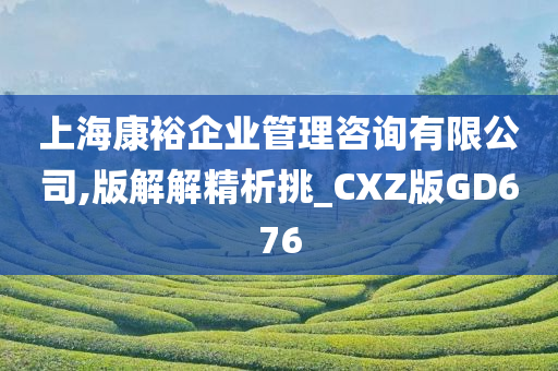 上海康裕企业管理咨询有限公司,版解解精析挑_CXZ版GD676