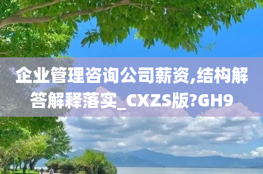 企业管理咨询公司薪资,结构解答解释落实_CXZS版?GH9