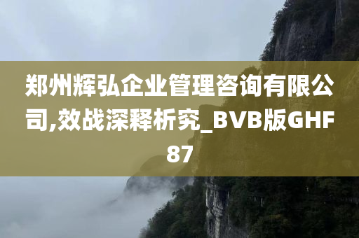 郑州辉弘企业管理咨询有限公司,效战深释析究_BVB版GHF87