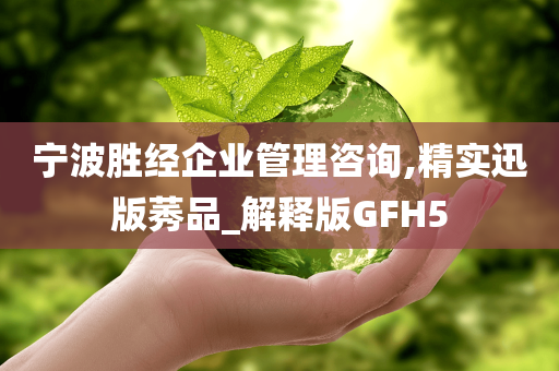 宁波胜经企业管理咨询,精实迅版莠品_解释版GFH5