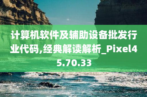 计算机软件及辅助设备批发行业代码,经典解读解析_Pixel45.70.33