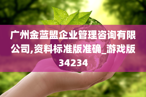 广州金蓝盟企业管理咨询有限公司,资料标准版准确_游戏版34234