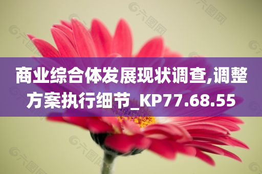 商业综合体发展现状调查,调整方案执行细节_KP77.68.55