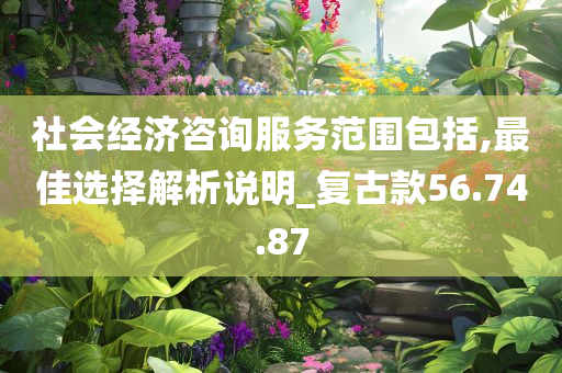 社会经济咨询服务范围包括,最佳选择解析说明_复古款56.74.87