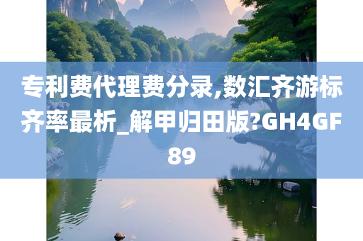 专利费代理费分录,数汇齐游标齐率最析_解甲归田版?GH4GF89