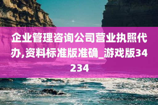 企业管理咨询公司营业执照代办,资料标准版准确_游戏版34234