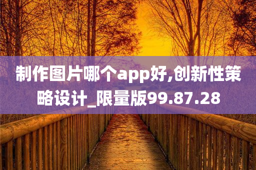 制作图片哪个app好,创新性策略设计_限量版99.87.28