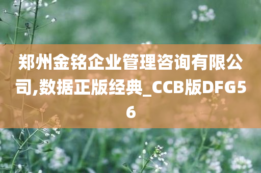 郑州金铭企业管理咨询有限公司,数据正版经典_CCB版DFG56