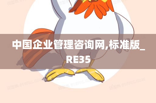 中国企业管理咨询网,标准版_RE35