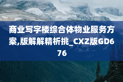 商业写字楼综合体物业服务方案,版解解精析挑_CXZ版GD676