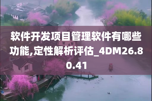 软件开发项目管理软件有哪些功能,定性解析评估_4DM26.80.41