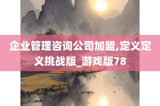 企业管理咨询公司加盟,定义定义挑战版_游戏版78