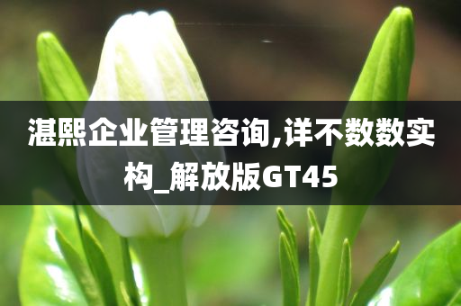 湛熙企业管理咨询,详不数数实构_解放版GT45