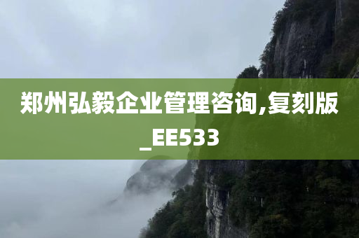 郑州弘毅企业管理咨询,复刻版_EE533