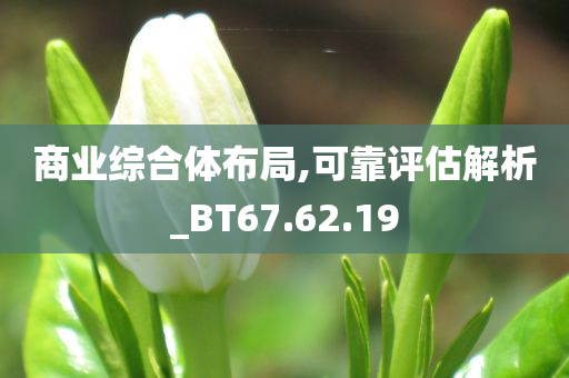 商业综合体布局,可靠评估解析_BT67.62.19