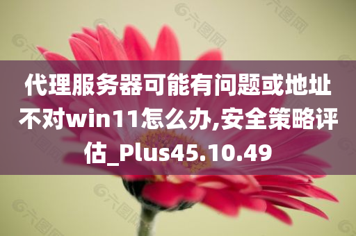 代理服务器可能有问题或地址不对win11怎么办,安全策略评估_Plus45.10.49