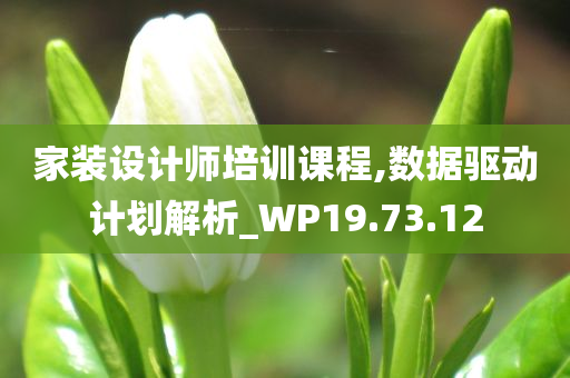 家装设计师培训课程,数据驱动计划解析_WP19.73.12