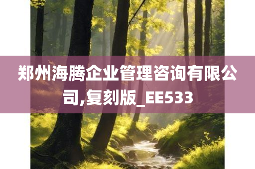 郑州海腾企业管理咨询有限公司,复刻版_EE533