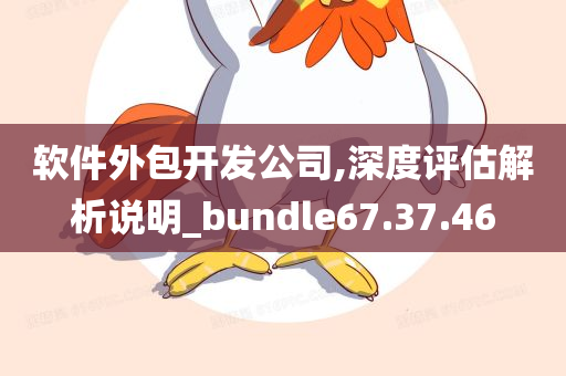 软件外包开发公司,深度评估解析说明_bundle67.37.46