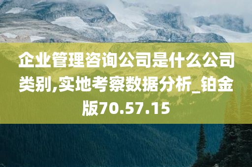 企业管理咨询公司是什么公司类别,实地考察数据分析_铂金版70.57.15